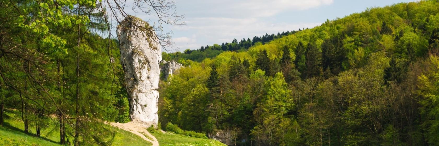Ojcowski Park Narodowy